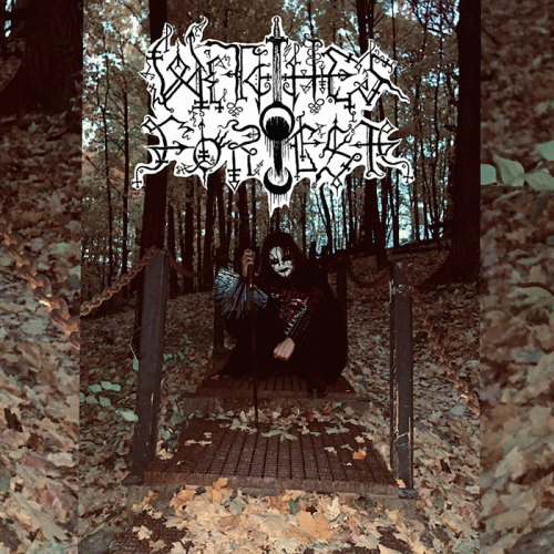 Witches Forest : The Lost Hymns of Witches Forest